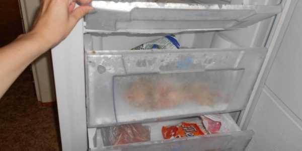 холодильник не включается